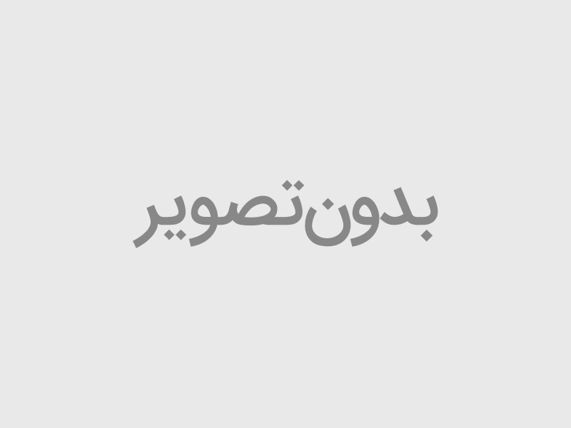 گردگیر کمک جلو لاستیکی تیبا 2047004